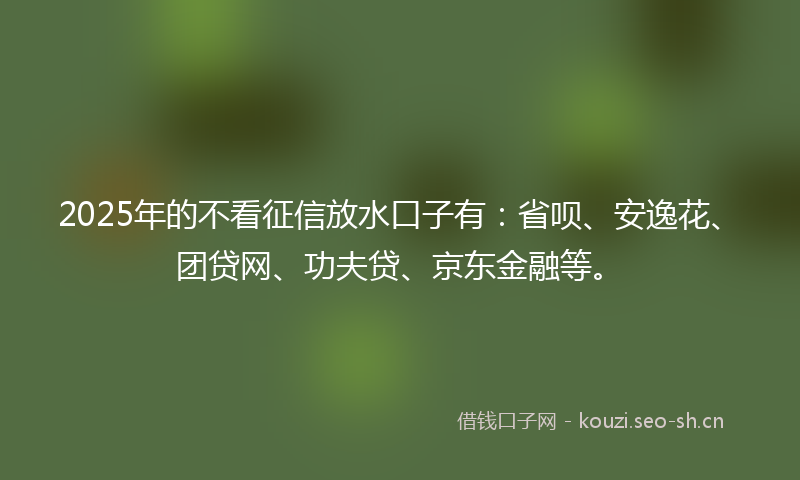 2025年的不看征信放水口子有：省呗、安逸花、团贷网、功夫贷、京东金融等。