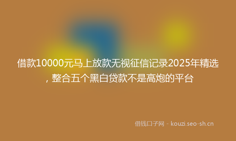 借款10000元马上放款无视征信记录2025年精选，整合五个黑白贷款不是高炮的平台
