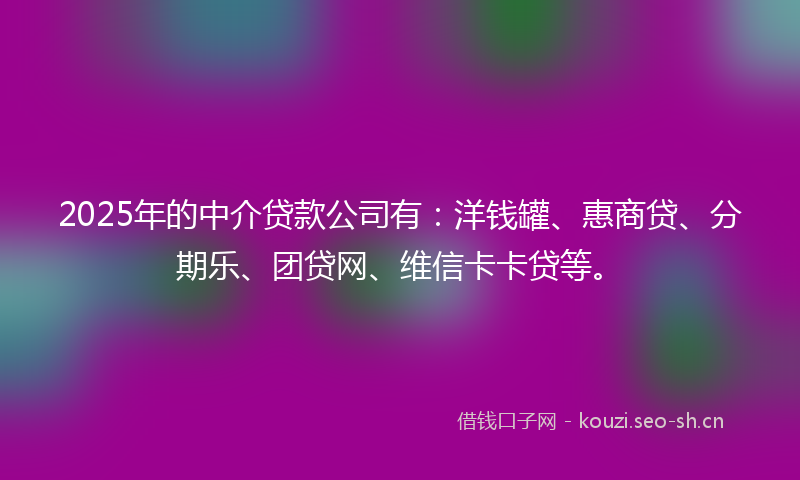 2025年的中介贷款公司有：洋钱罐、惠商贷、分期乐、团贷网、维信卡卡贷等。