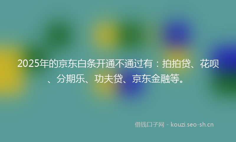 2025年的京东白条开通不通过有：拍拍贷、花呗、分期乐、功夫贷、京东金融等。