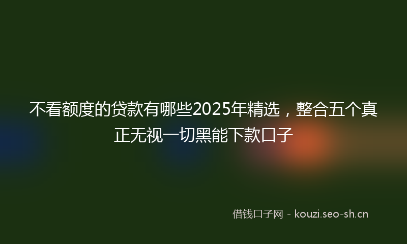 不看额度的贷款有哪些2025年精选，整合五个真正无视一切黑能下款口子