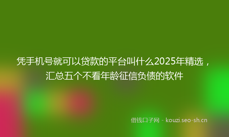 凭手机号就可以贷款的平台叫什么2025年精选，汇总五个不看年龄征信负债的软件