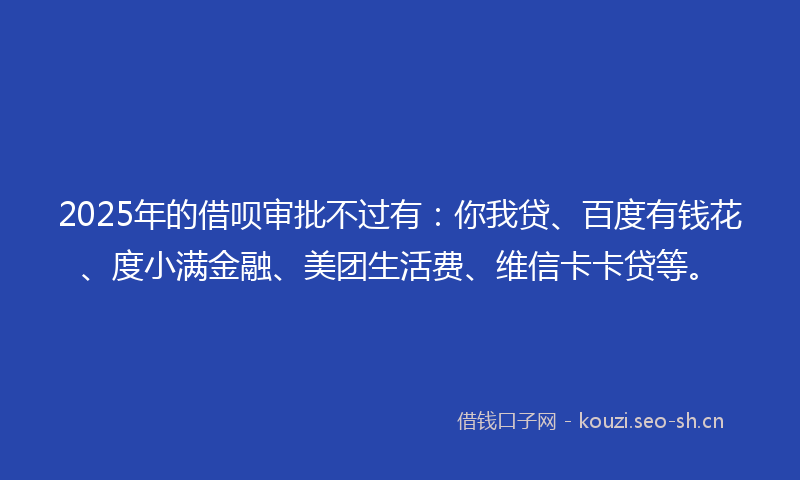 2025年的借呗审批不过有：你我贷、百度有钱花、度小满金融、美团生活费、维信卡卡贷等。