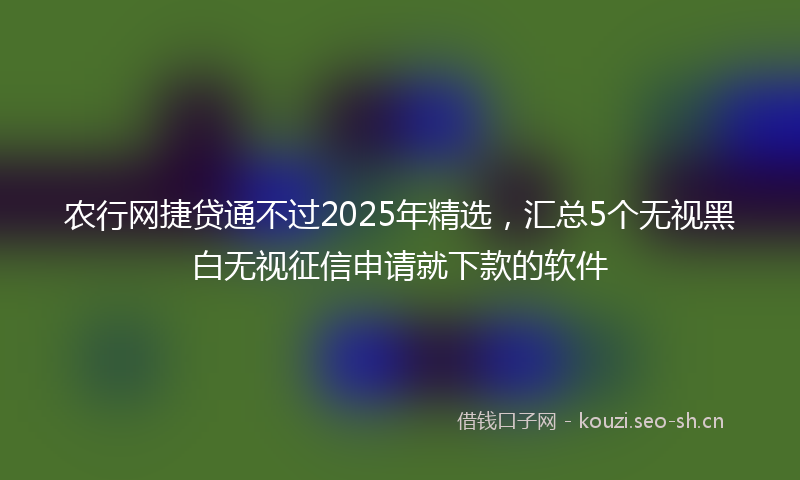 农行网捷贷通不过2025年精选，汇总5个无视黑白无视征信申请就下款的软件