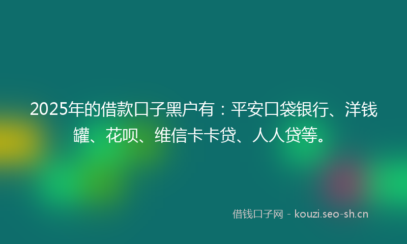 2025年的借款口子黑户有：平安口袋银行、洋钱罐、花呗、维信卡卡贷、人人贷等。