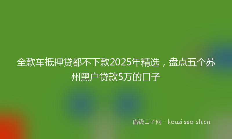 全款车抵押贷都不下款2025年精选，盘点五个苏州黑户贷款5万的口子