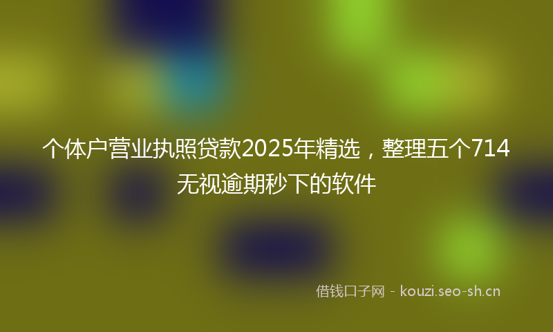 个体户营业执照贷款2025年精选,整理五个714无视逾期秒下的软件