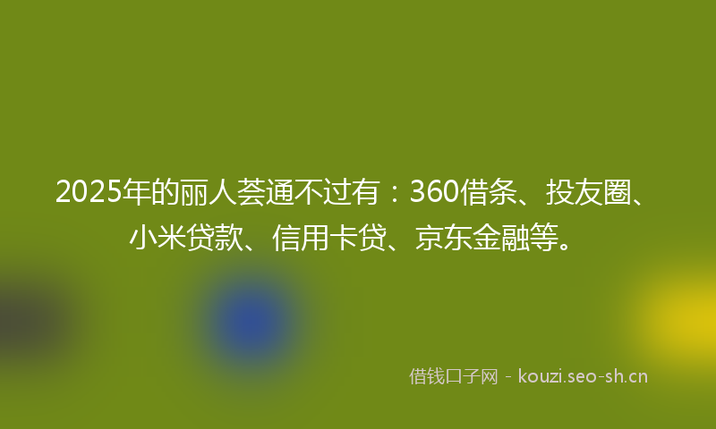 2025年的丽人荟通不过有：360借条、投友圈、小米贷款、信用卡贷、京东金融等。