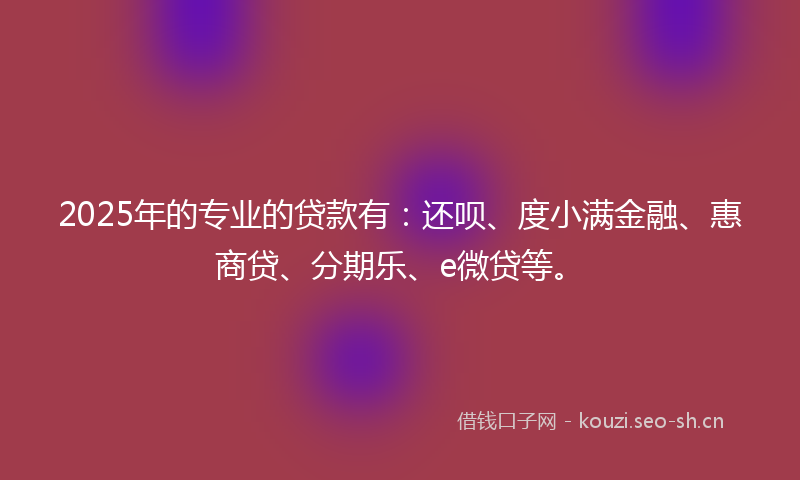 2025年的专业的贷款有：还呗、度小满金融、惠商贷、分期乐、e微贷等。