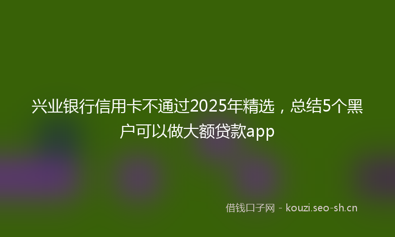 兴业银行信用卡不通过2025年精选,总结5个黑户可以做大额贷款app