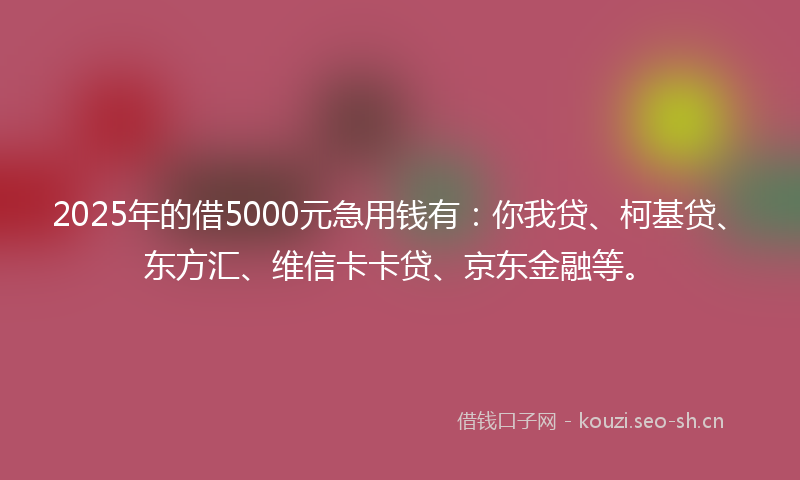 2025年的借5000元急用钱有：你我贷、柯基贷、东方汇、维信卡卡贷、京东金融等。
