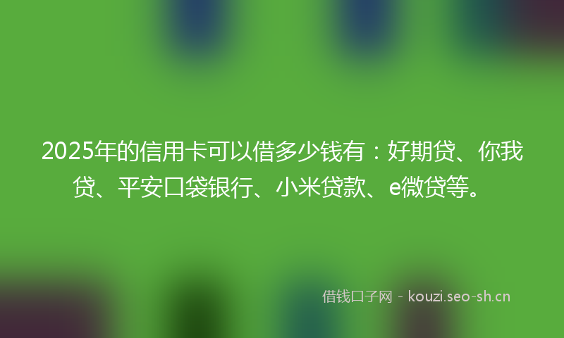 2025年的信用卡可以借多少钱有：好期贷、你我贷、平安口袋银行、小米贷款、e微贷等。