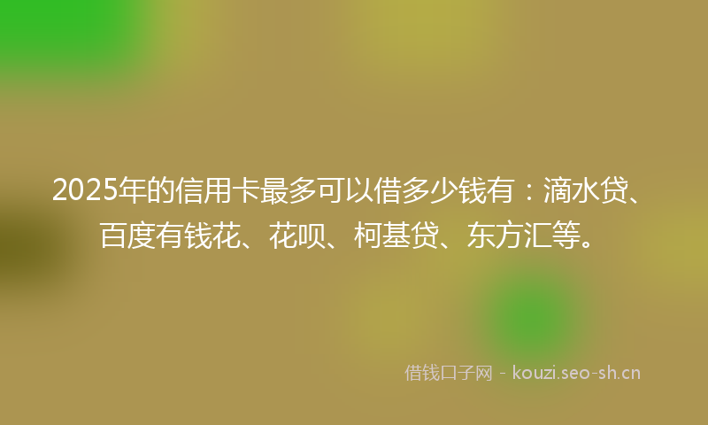 2025年的信用卡最多可以借多少钱有：滴水贷、百度有钱花、花呗、柯基贷、东方汇等。