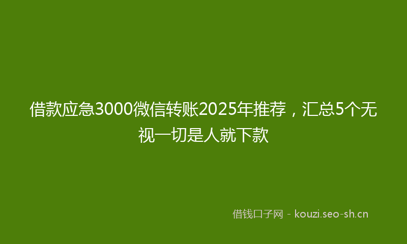 借款应急3000微信转账2025年推荐,汇总5个无视一切是人就下款