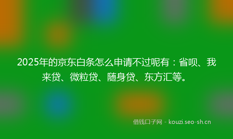 2025年的京东白条怎么申请不过呢有：省呗、我来贷、微粒贷、随身贷、东方汇等。