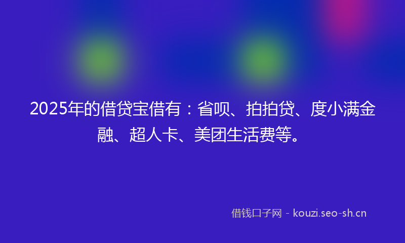 2025年的借贷宝借有：省呗、拍拍贷、度小满金融、超人卡、美团生活费等。