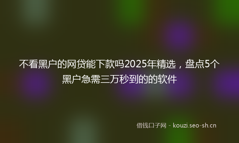 不看黑户的网贷能下款吗2025年精选，盘点5个黑户急需三万秒到的的软件