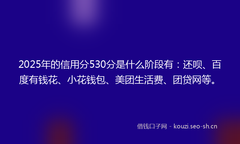 2025年的信用分530分是什么阶段有：还呗、百度有钱花、小花钱包、美团生活费、团贷网等。