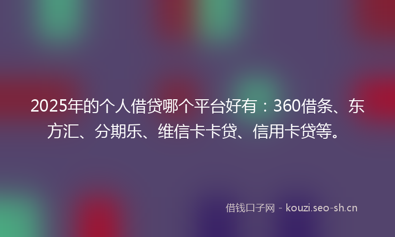 2025年的个人借贷哪个平台好有：360借条、东方汇、分期乐、维信卡卡贷、信用卡贷等。