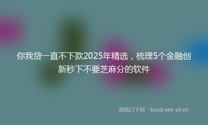 你我贷一直不下款2025年精选，梳理5个金融创新秒下不要芝麻分的软件