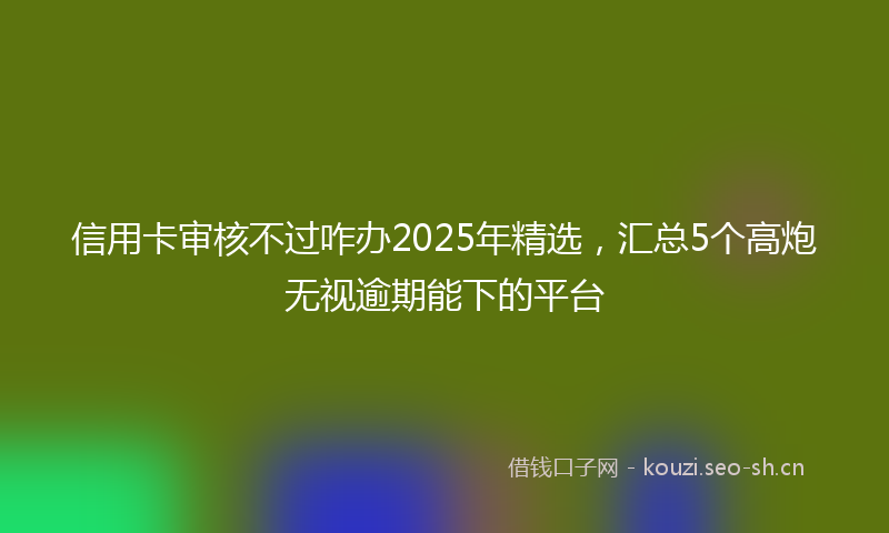 信用卡审核不过咋办2025年精选,汇总5个高炮无视逾期能下的平台