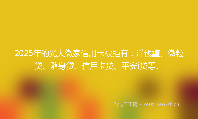 2025年的光大微家信用卡被拒有:洋钱罐、微粒贷、随身贷、信用卡贷、平安i贷等。