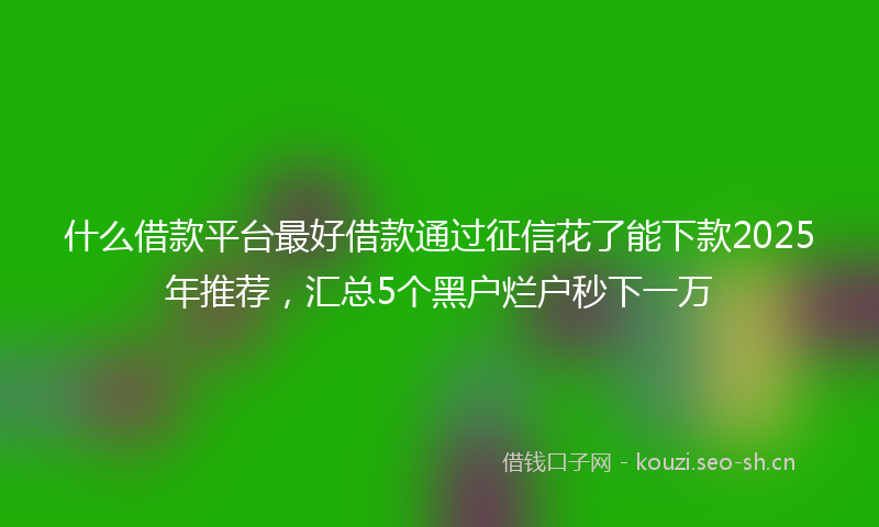 什么借款平台最好借款通过征信花了能下款2025年推荐，汇总5个黑户烂户秒下一万