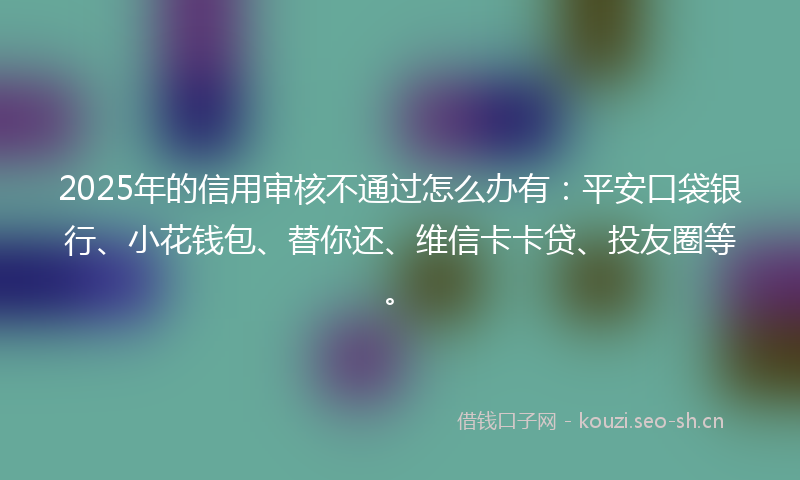 2025年的信用审核不通过怎么办有：平安口袋银行、小花钱包、替你还、维信卡卡贷、投友圈等。
