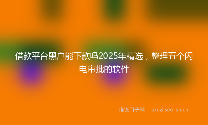 借款平台黑户能下款吗2025年精选，整理五个闪电审批的软件