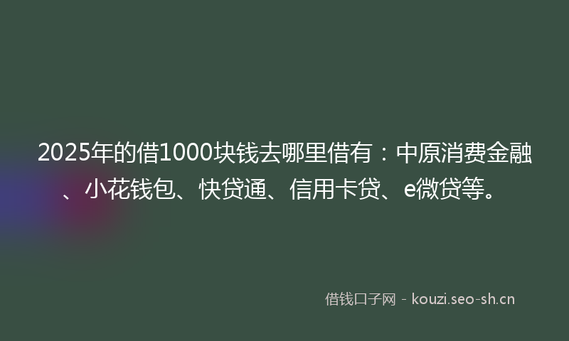 2025年的借1000块钱去哪里借有：中原消费金融、小花钱包、快贷通、信用卡贷、e微贷等。
