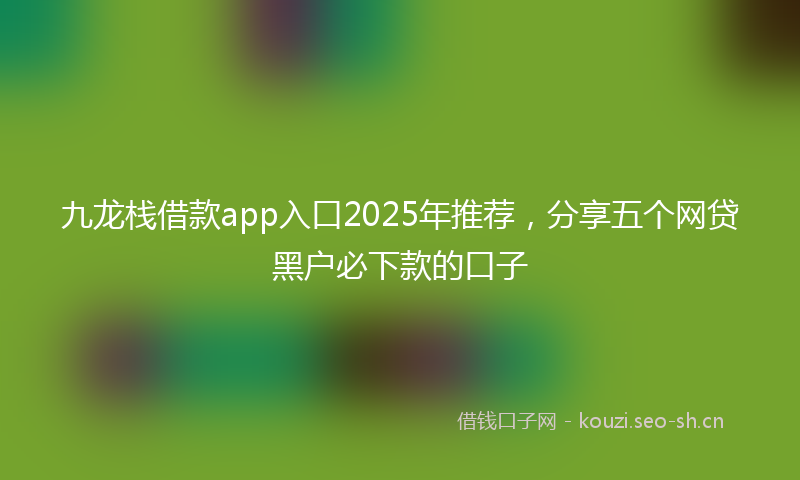 九龙栈借款app入口2025年推荐，分享五个网贷黑户必下款的口子