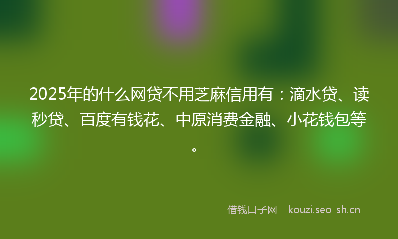 2025年的什么网贷不用芝麻信用有：滴水贷、读秒贷、百度有钱花、中原消费金融、小花钱包等。