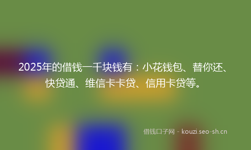 2025年的借钱一千块钱有：小花钱包、替你还、快贷通、维信卡卡贷、信用卡贷等。
