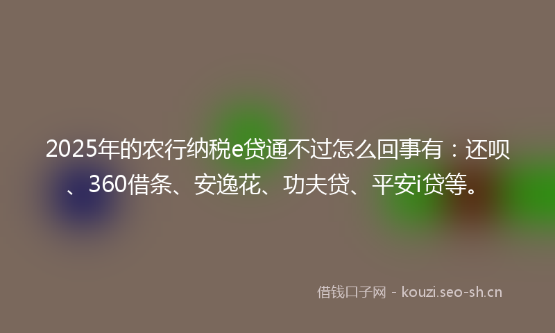 2025年的农行纳税e贷通不过怎么回事有：还呗、360借条、安逸花、功夫贷、平安i贷等。