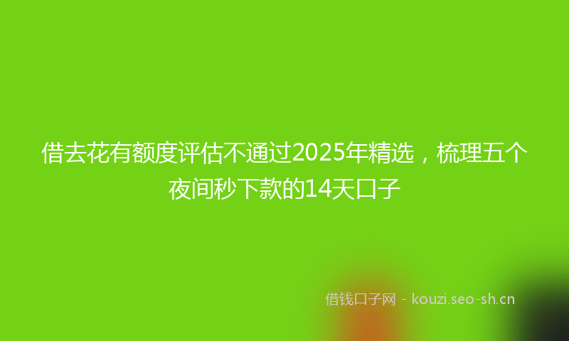 借去花有额度评估不通过2025年精选,梳理五个夜间秒下款的14天口子