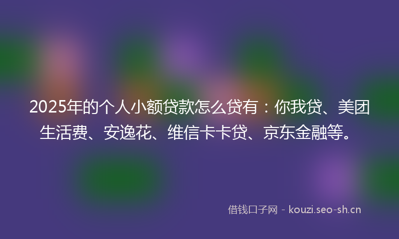 2025年的个人小额贷款怎么贷有：你我贷、美团生活费、安逸花、维信卡卡贷、京东金融等。