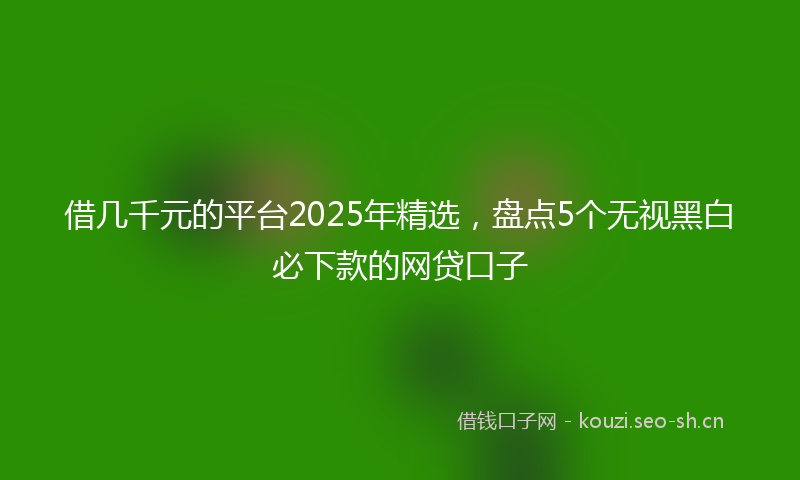借几千元的平台2025年精选，盘点5个无视黑白必下款的网贷口子