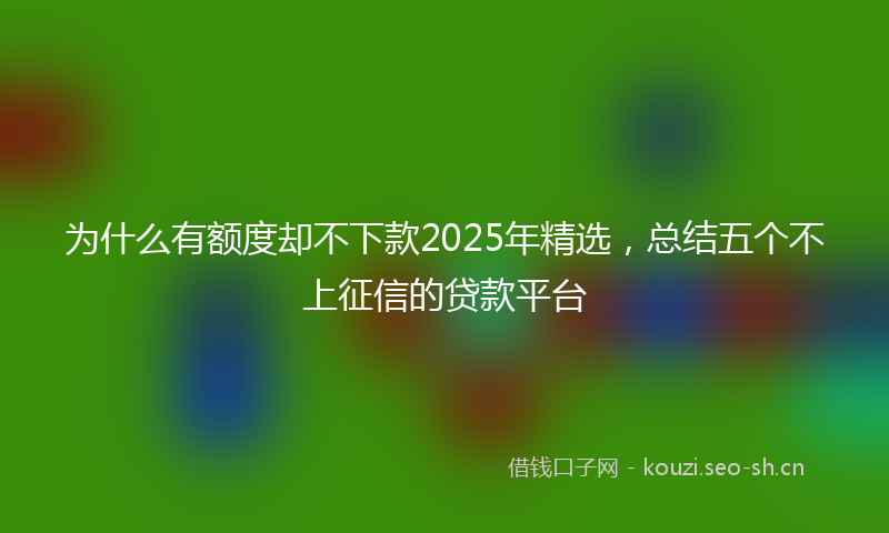 为什么有额度却不下款2025年精选，总结五个不上征信的贷款平台