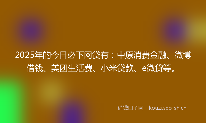 2025年的今日必下网贷有：中原消费金融、微博借钱、美团生活费、小米贷款、e微贷等。