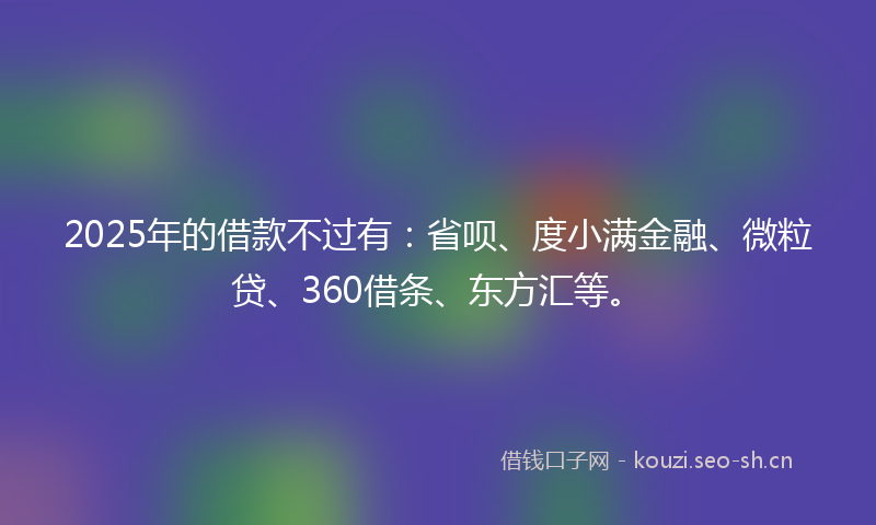 2025年的借款不过有：省呗、度小满金融、微粒贷、360借条、东方汇等。