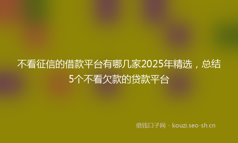 不看征信的借款平台有哪几家2025年精选，总结5个不看欠款的贷款平台