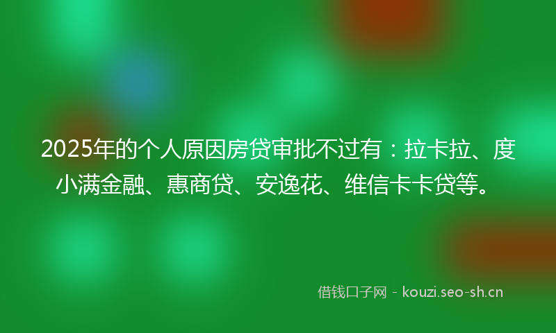 2025年的个人原因房贷审批不过有：拉卡拉、度小满金融、惠商贷、安逸花、维信卡卡贷等。