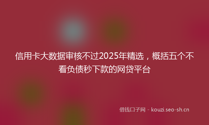 信用卡大数据审核不过2025年精选，概括五个不看负债秒下款的网贷平台