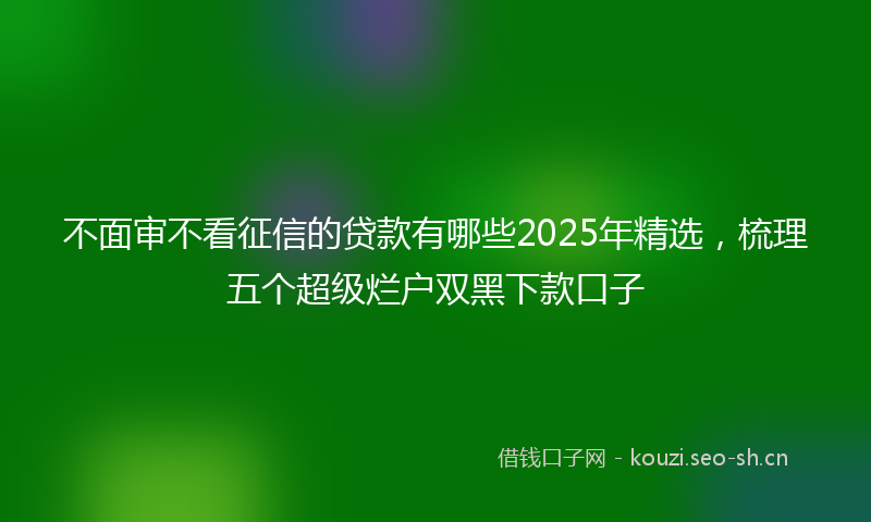 不面审不看征信的贷款有哪些2025年精选，梳理五个超级烂户双黑下款口子