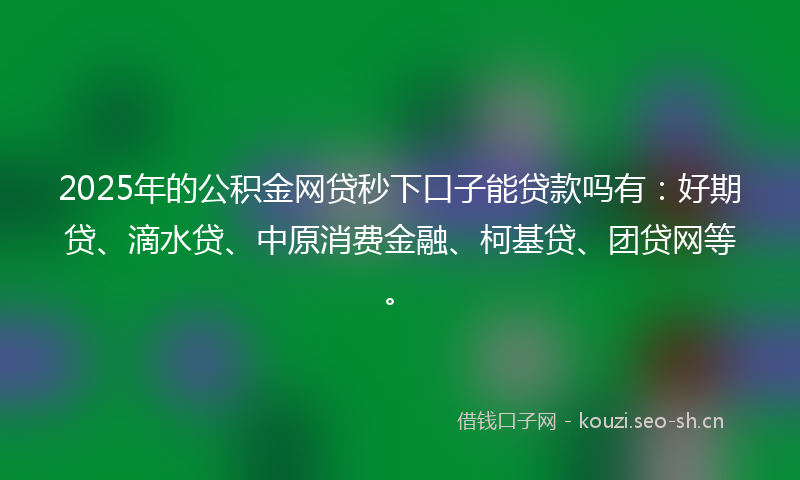 2025年的公积金网贷秒下口子能贷款吗有：好期贷、滴水贷、中原消费金融、柯基贷、团贷网等。