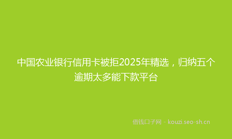 中国农业银行信用卡被拒2025年精选,归纳五个逾期太多能下款平台