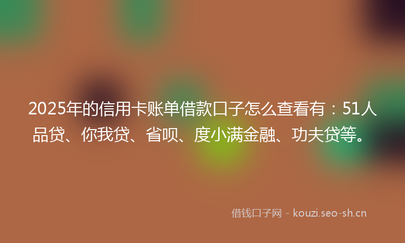 2025年的信用卡账单借款口子怎么查看有：51人品贷、你我贷、省呗、度小满金融、功夫贷等。