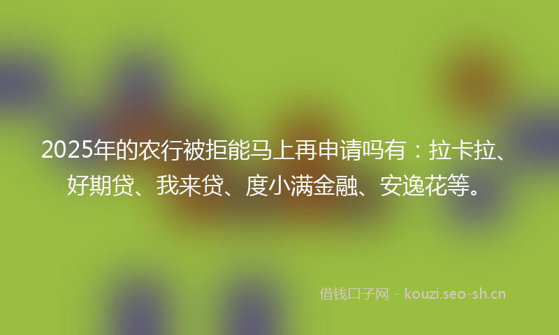 2025年的农行被拒能马上再申请吗有：拉卡拉、好期贷、我来贷、度小满金融、安逸花等。