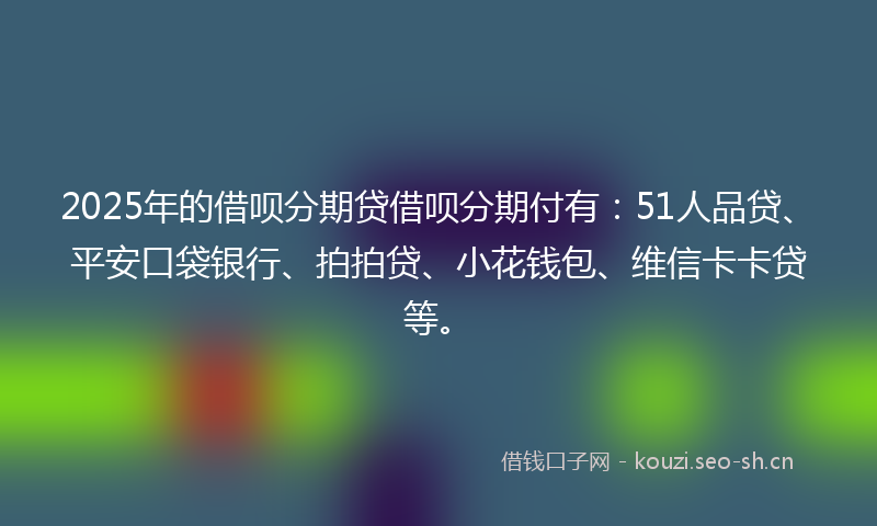2025年的借呗分期贷借呗分期付有：51人品贷、平安口袋银行、拍拍贷、小花钱包、维信卡卡贷等。