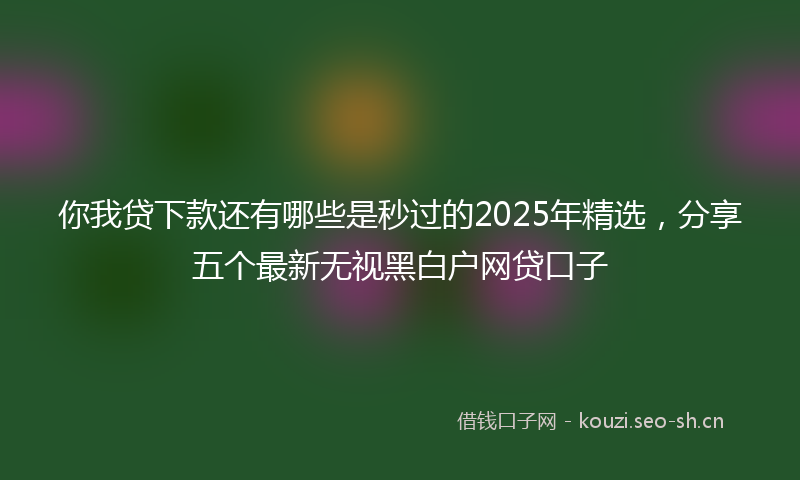 你我贷下款还有哪些是秒过的2025年精选，分享五个最新无视黑白户网贷口子